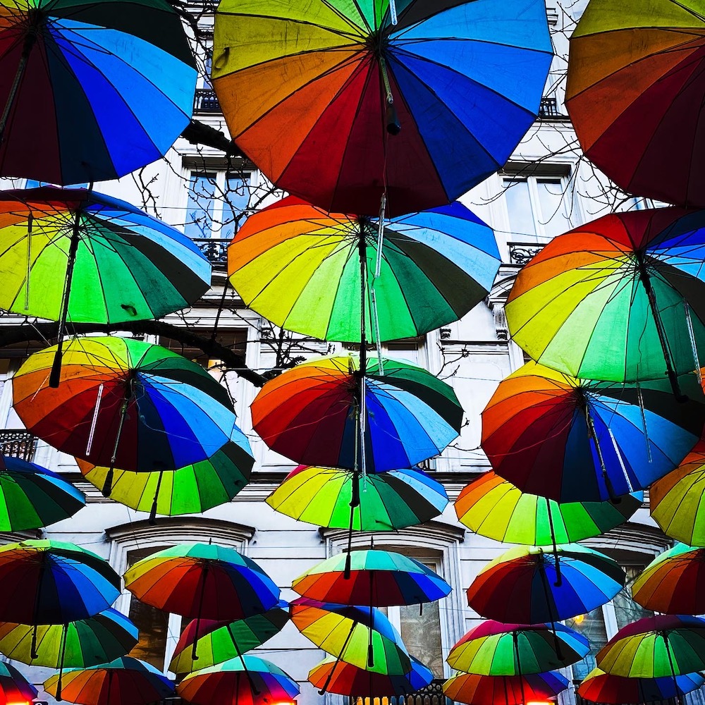umbrella